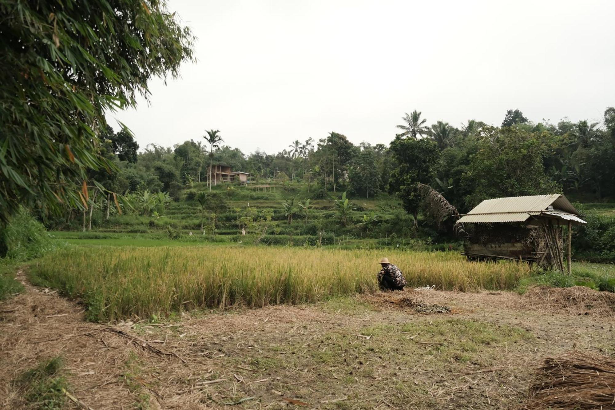 מלון טטבאטו Alora House Lombok Tete Batu מראה חיצוני תמונה