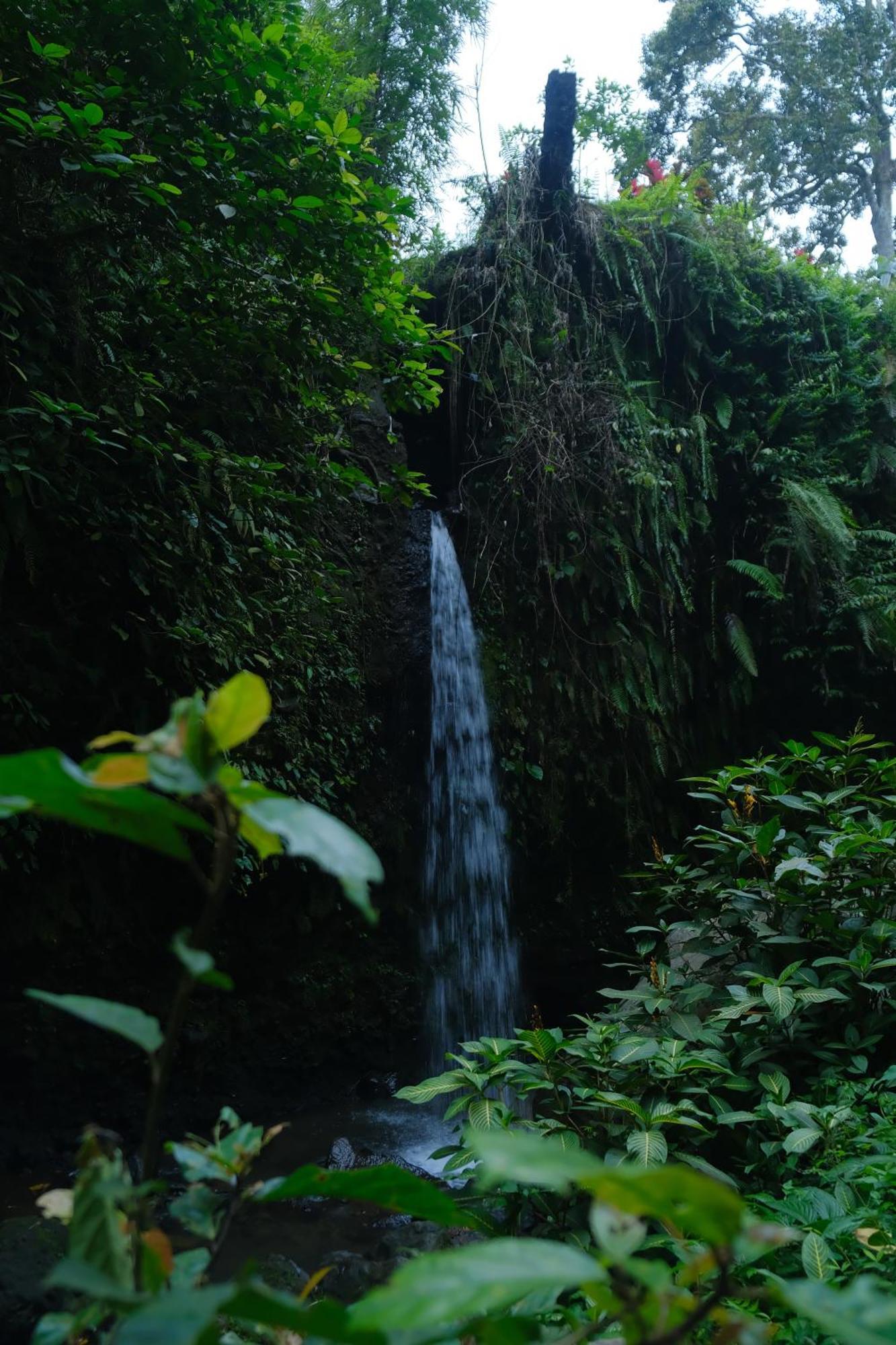 מלון טטבאטו Alora House Lombok Tete Batu מראה חיצוני תמונה